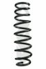 SPIDAN 85542 Coil Spring